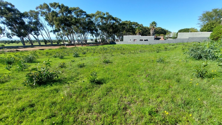 0 Bedroom Property for Sale in Darling Western Cape